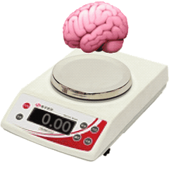 关于大脑的动态聊天表情