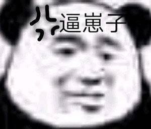 2021熊猫头怼人微信表情包