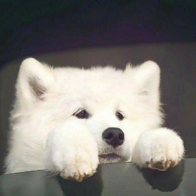 奇奇怪怪的搞怪个性微信头像