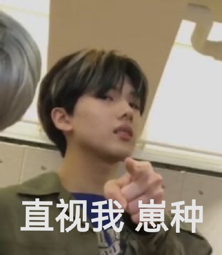 朴志晟怼人微信表情包
