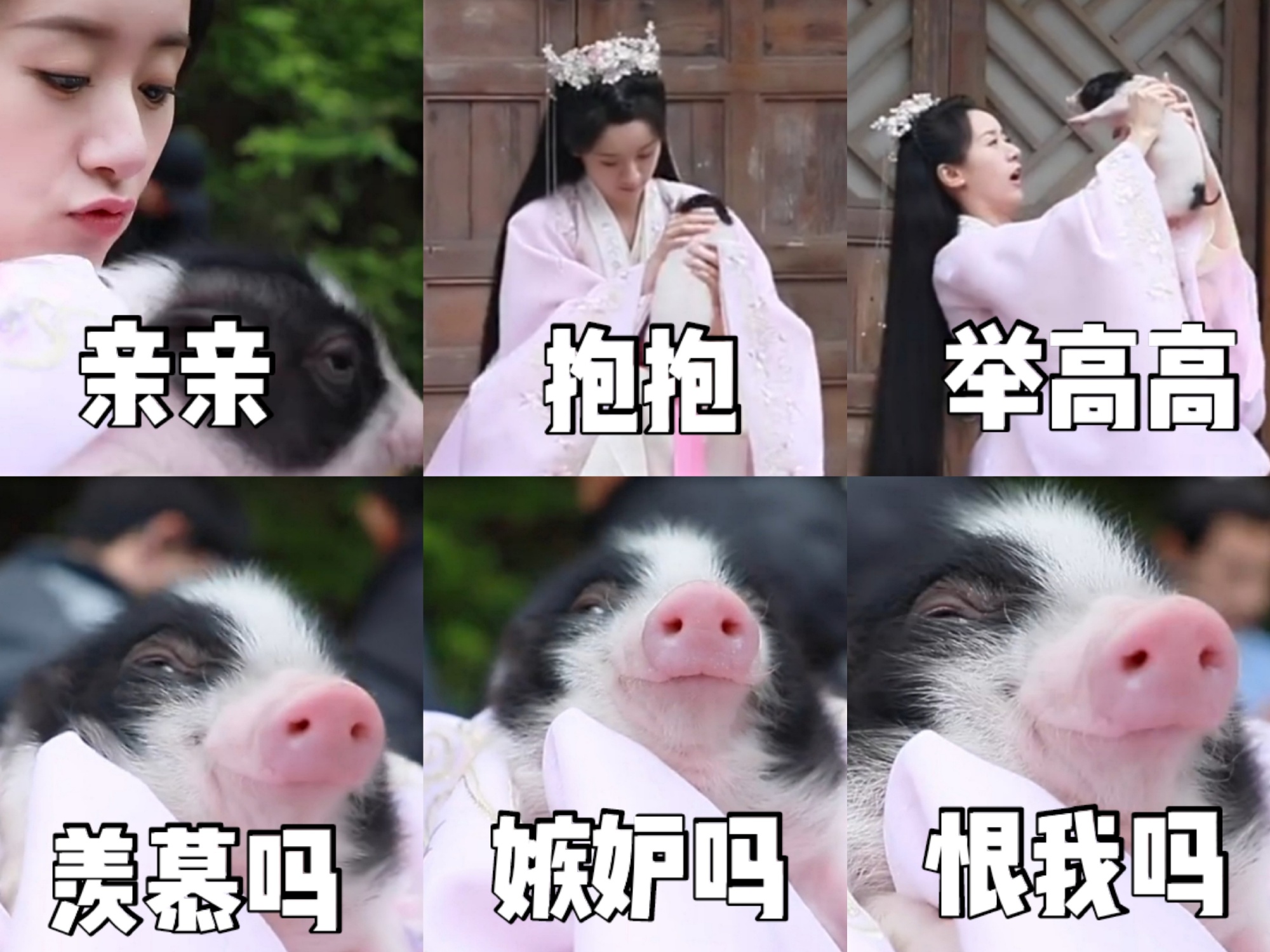 袁冰妍抱着猪猪沈嗷嗷可爱微信表情包