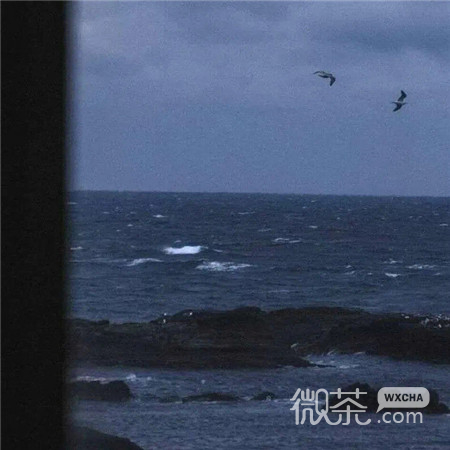 伤感ins风的大海微信朋友圈配图