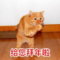 沙雕拜年微信表情包