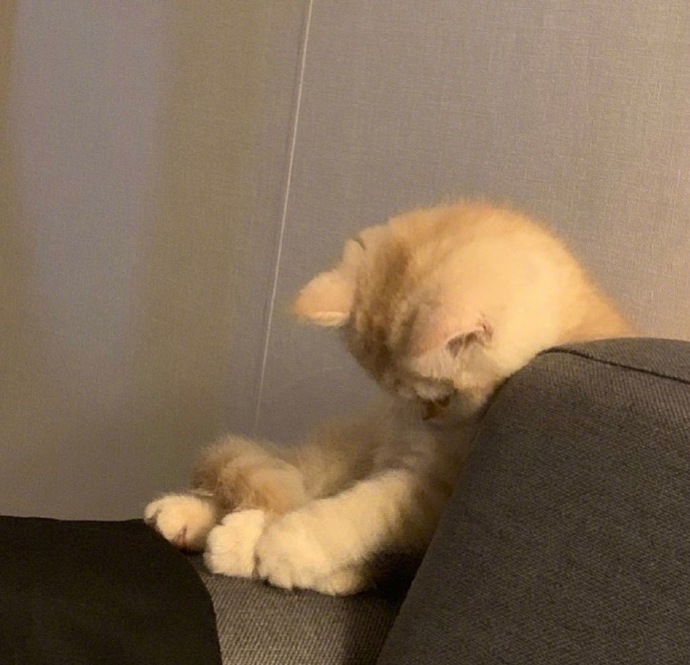 周一综合症可爱微信表情包