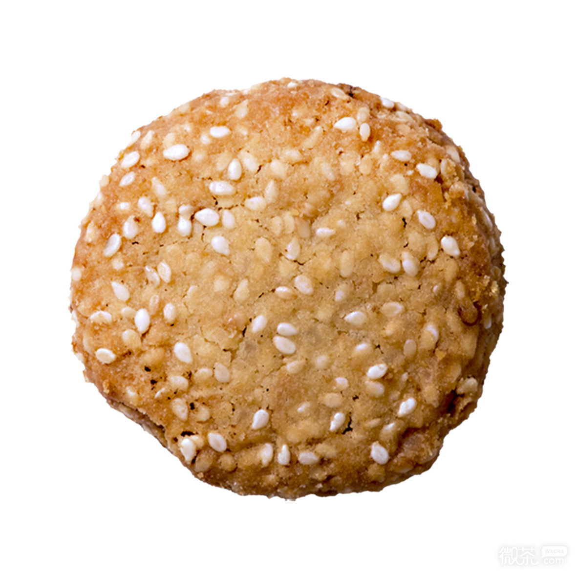 小饼干微信头像
