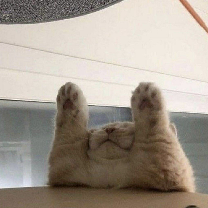 可爱趣味沙雕的个性微信头像