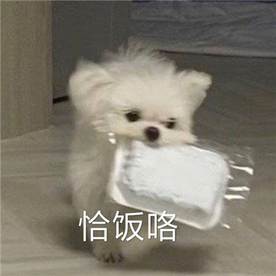 趣味的最新热门表情