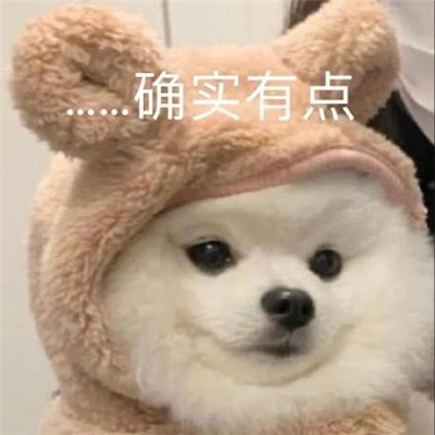 超级实用的表情包