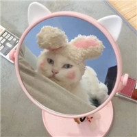 呆萌萌萌哒沙雕宠物情侣头像