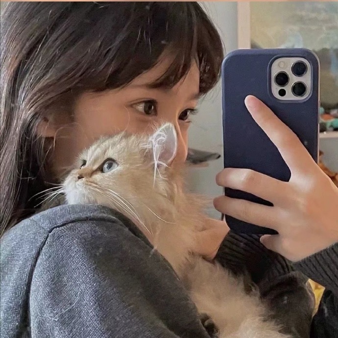 小动物与美女的个性微信头像