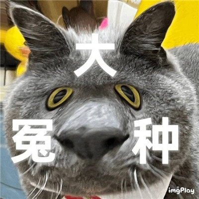 大怨种表情包合集