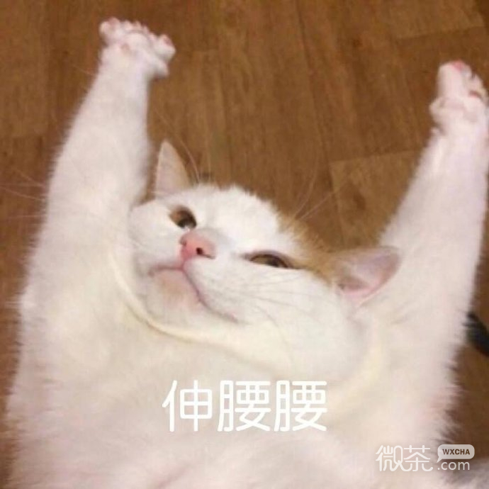 沙雕可爱聊天微信表情包