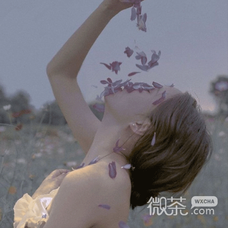很清冷的干净美女个性空间背景图片