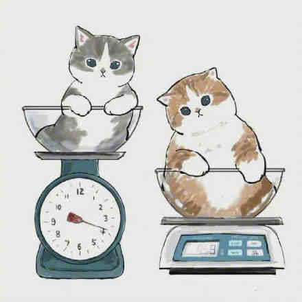 猫咪减肥计划可爱微信表情包