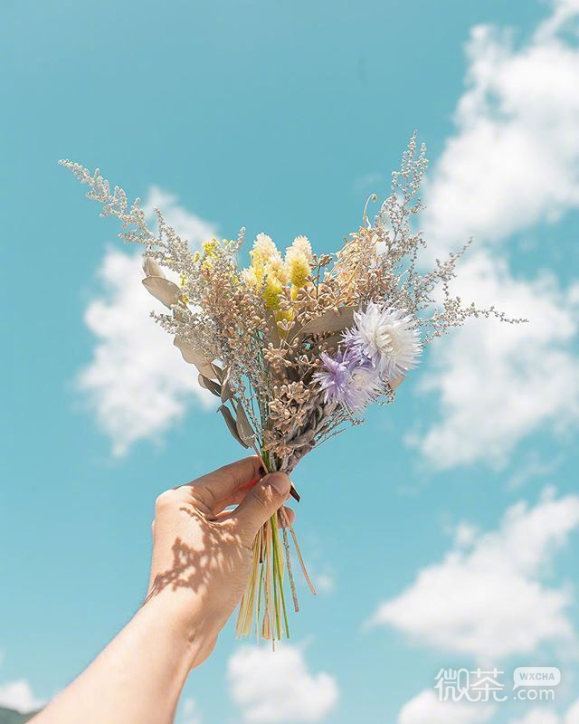手上拿了枝花素材图片