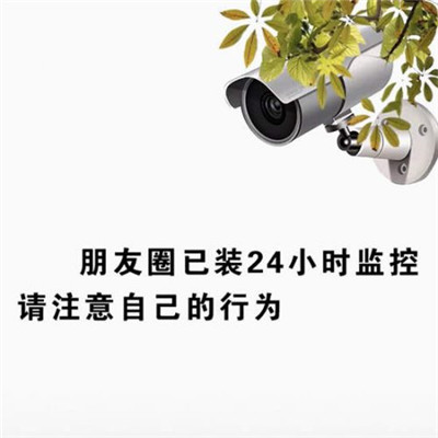 抖音朋友圈已装监控表情包大全