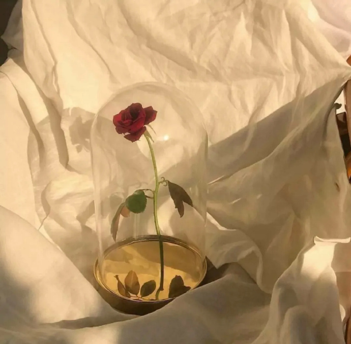 唯美清新的微信聊天背景图