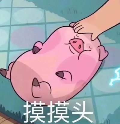 可爱小猪微信表情包