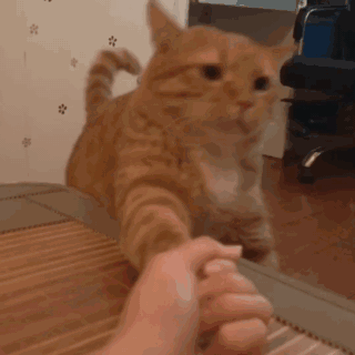 超有趣味很丰富的微信动态表情