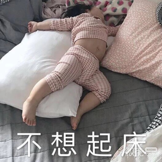 又沙雕又可爱的聊天微信表情包