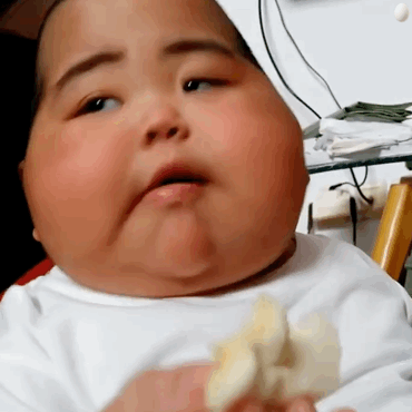 肉嘟嘟的tatan吃面包微信表情包
