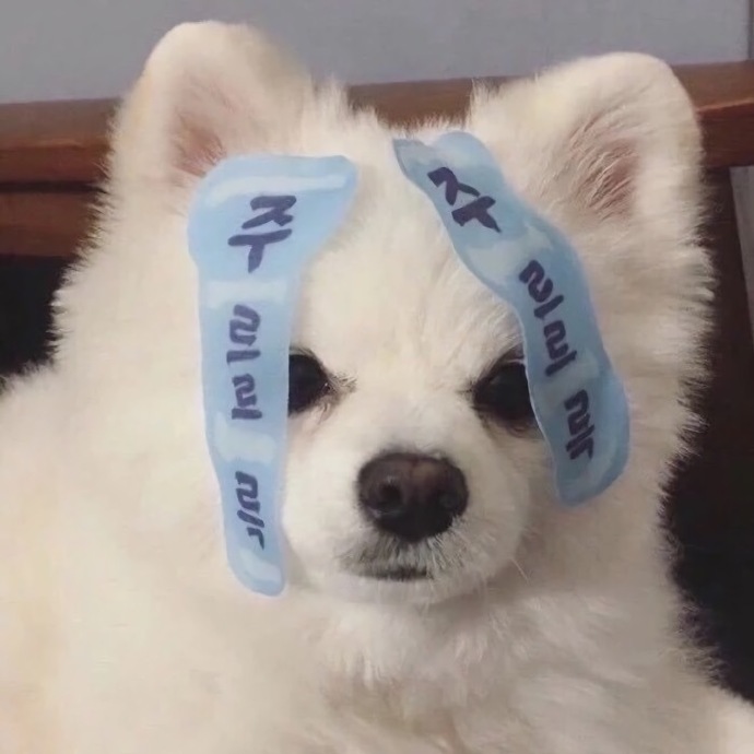 可爱搞怪可爱个性微信头像