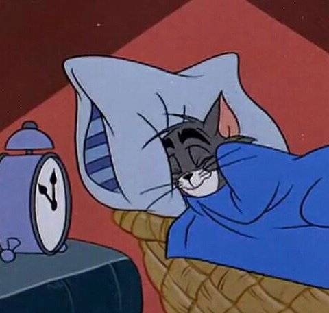 猫和老鼠睡觉睡到自然醒的微信头像