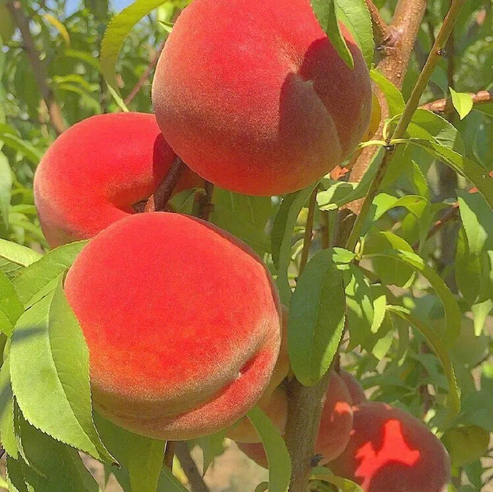 简约好看的个性微信朋友圈背景图