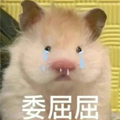 斗图专用的聊天表情