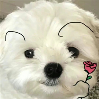 可爱鬼用的可爱表情