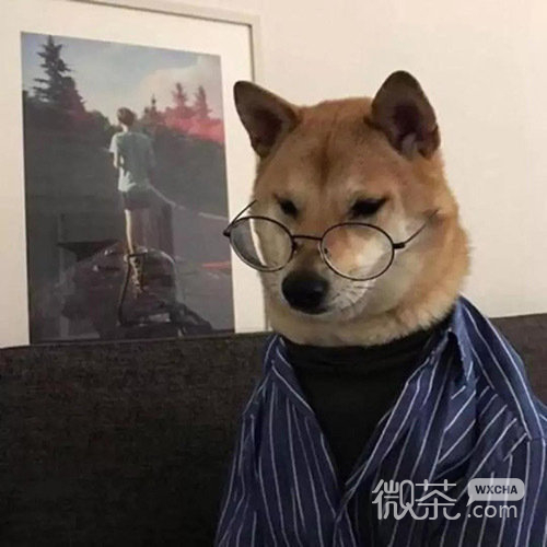 一组可爱好玩的微信头像