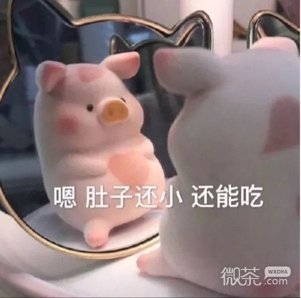 玩偶猪猪搞笑微信表情包