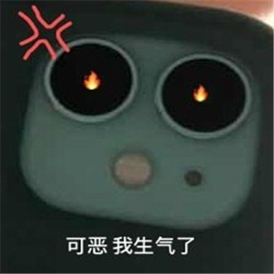 苹果后置相机奇怪又有趣的表情包