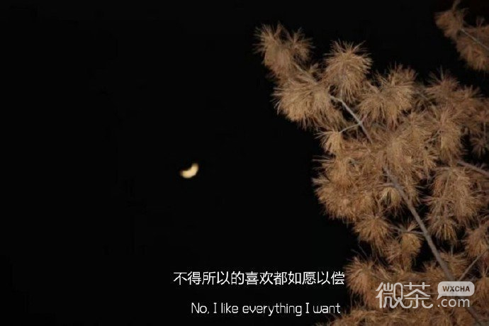情感唯美的微信聊天背景图
