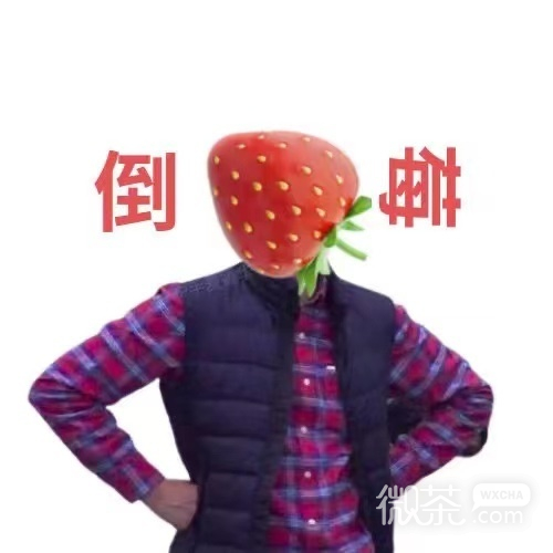 进化版的水果搞笑微信表情包
