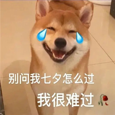 火七夕单身狗表情包