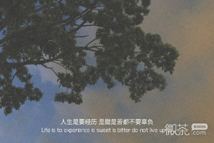 唯美有意境的微信聊天背景图