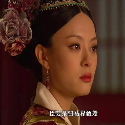 好笑的甄嬛传表情包