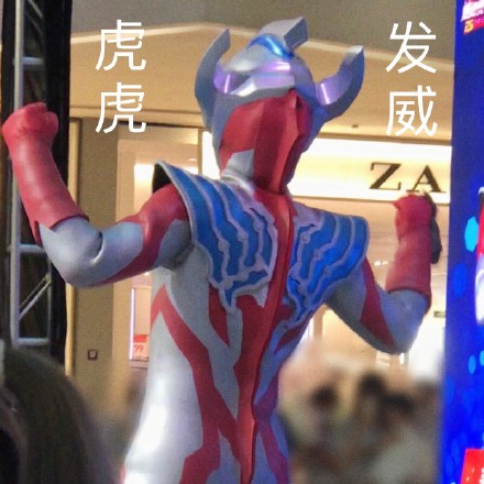义乌主题店泰迦微信表情包
