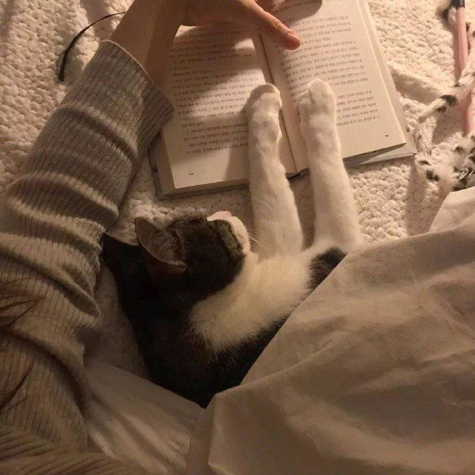 有意境的微信朋友圈背景图