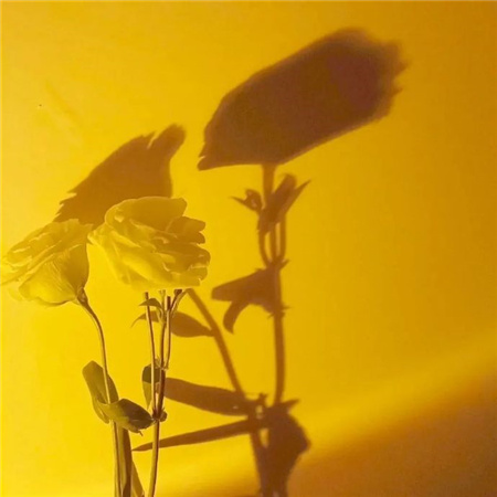 让你很难不爱的背景