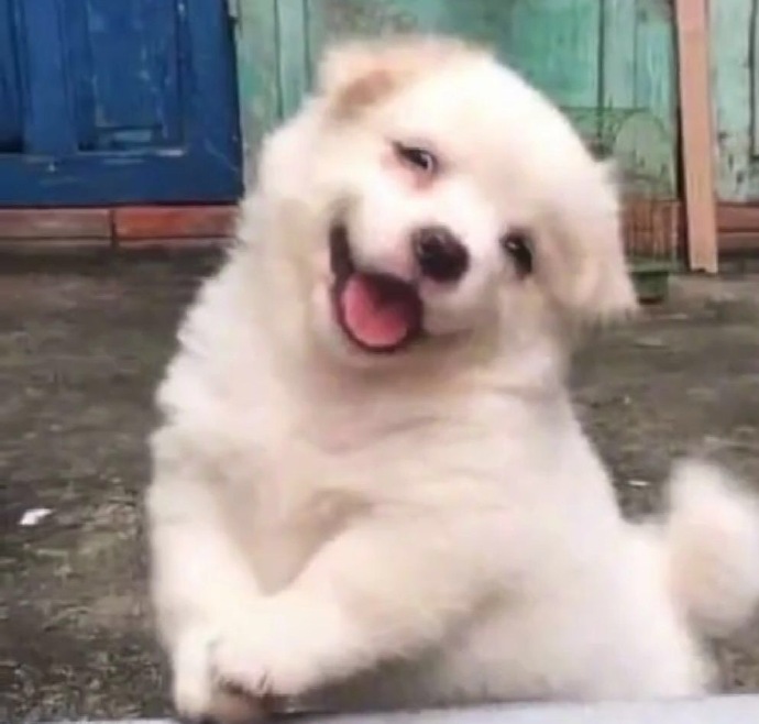 可爱搞怪微信头像