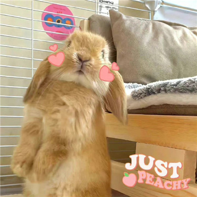 搞怪头像超级逗比