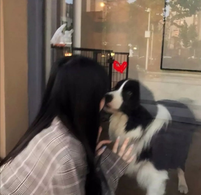 小动物与美女的个性微信头像