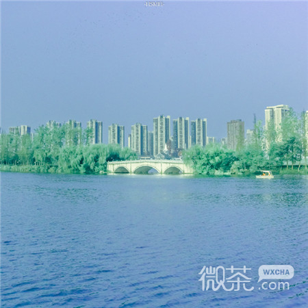 清冷的很有感觉的微信背景图
