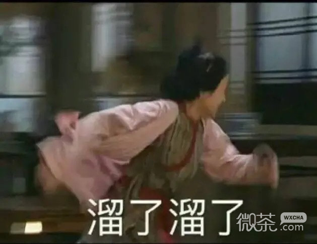 溜了溜了套系沙雕微信表情包