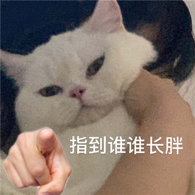 现在最流行的表情包