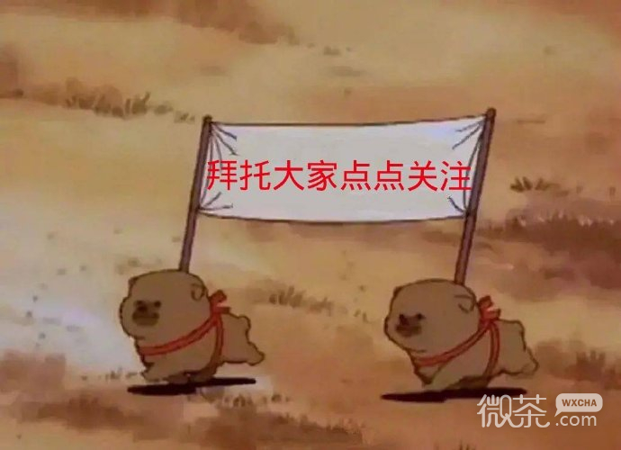 求关注套系微信表情包