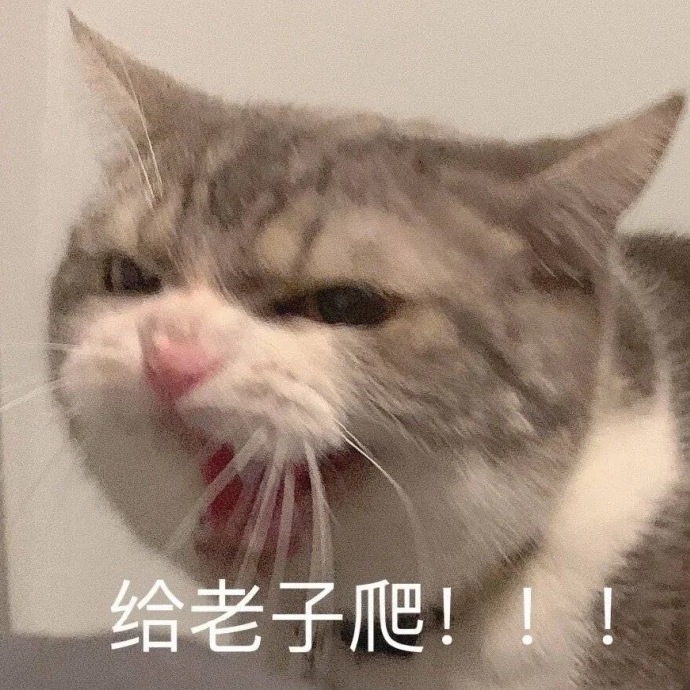 沙雕怼人聊天微信表情包