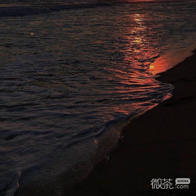 超清新治愈的干净背景图